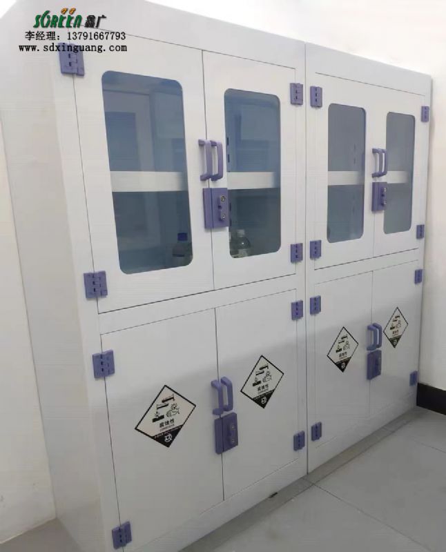 潍坊实验室PP试剂柜药品柜 化学品储存柜