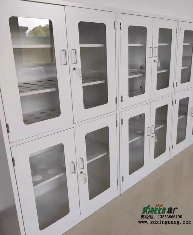 山东潍坊实验室家具器皿柜酸碱强酸存储柜