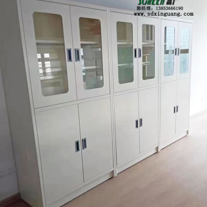 实验室药品储存柜 化验室样品存储柜 器皿柜