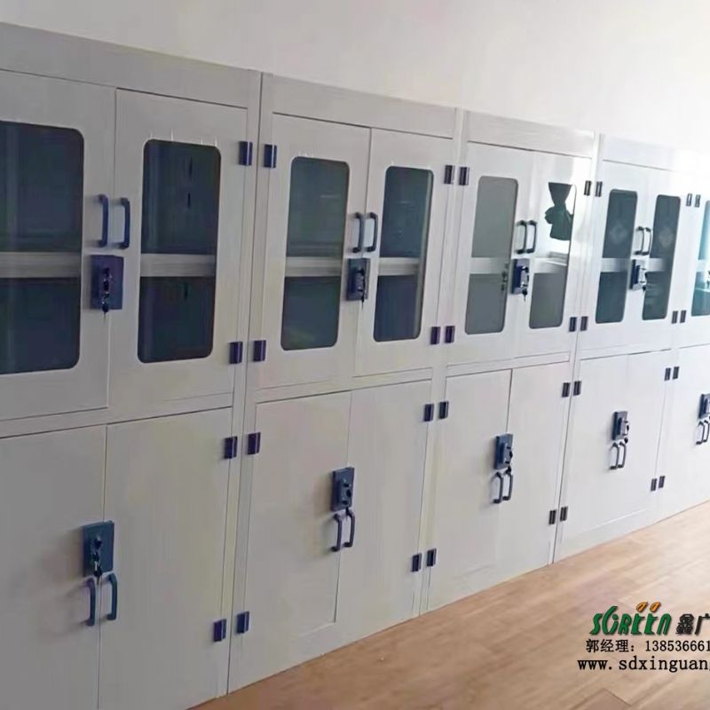 潍坊pp化学器皿柜 耐酸碱试剂柜 安全柜