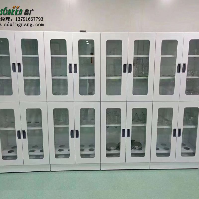 山东实验室器皿柜 耐腐蚀性化学药品试剂柜