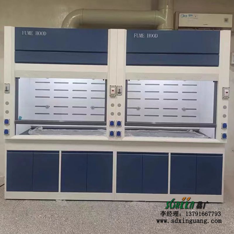 山东实验室设备 全钢通风柜pp通风橱柜厂家