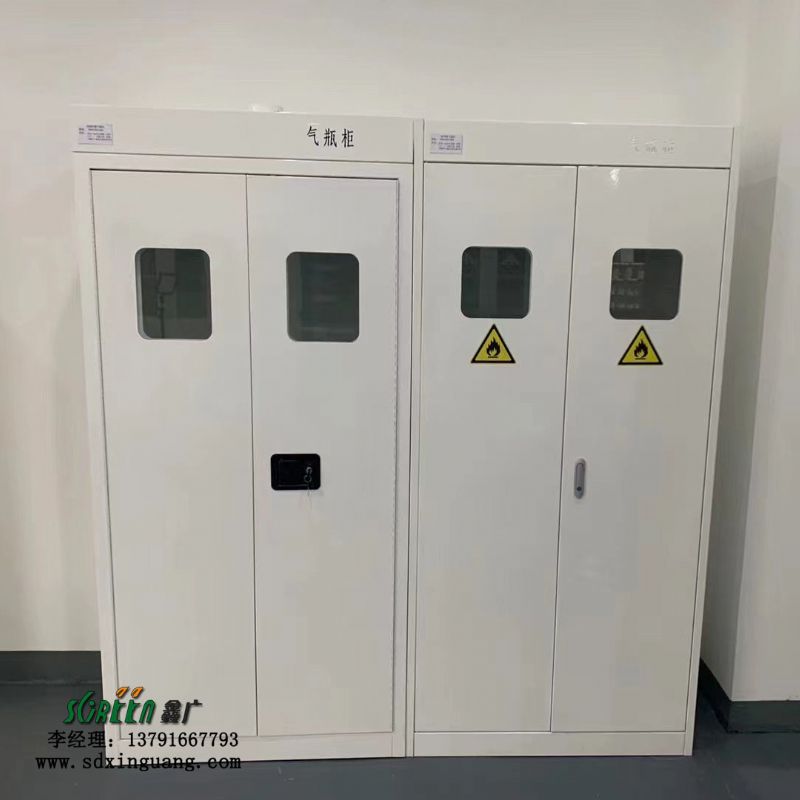 山东实验室设备 实验室气瓶柜实验台通排风系统