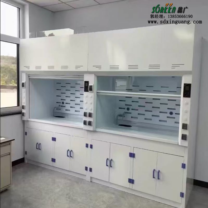 潍坊高密市实验台pp通风柜定制生产厂家