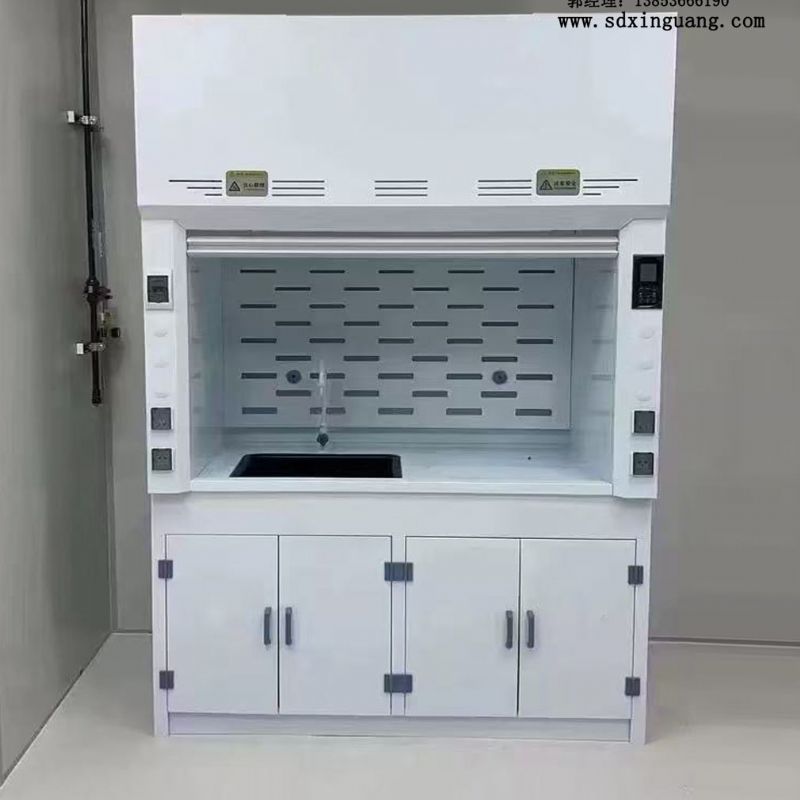 潍坊实验室PP通风柜通风橱厂家供应