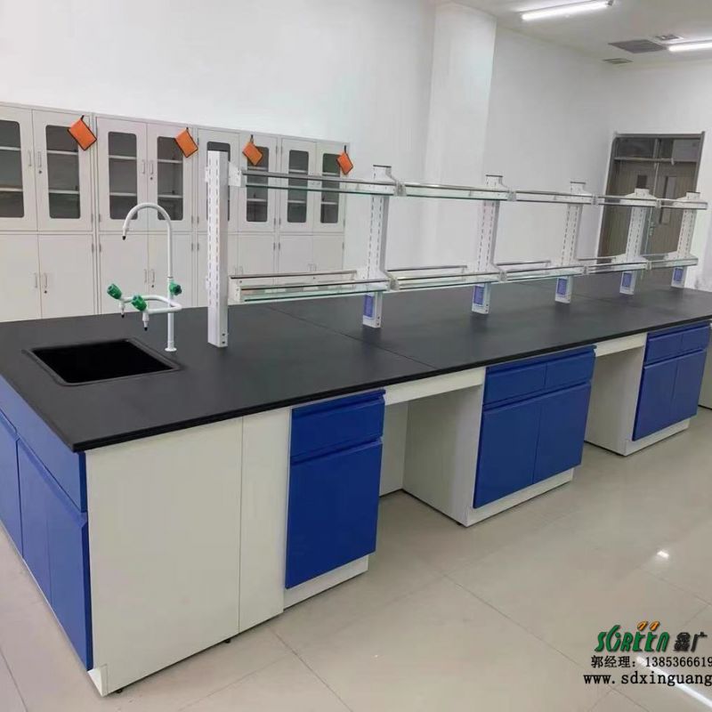 供应全钢实验台定制中小学生实验室工作台