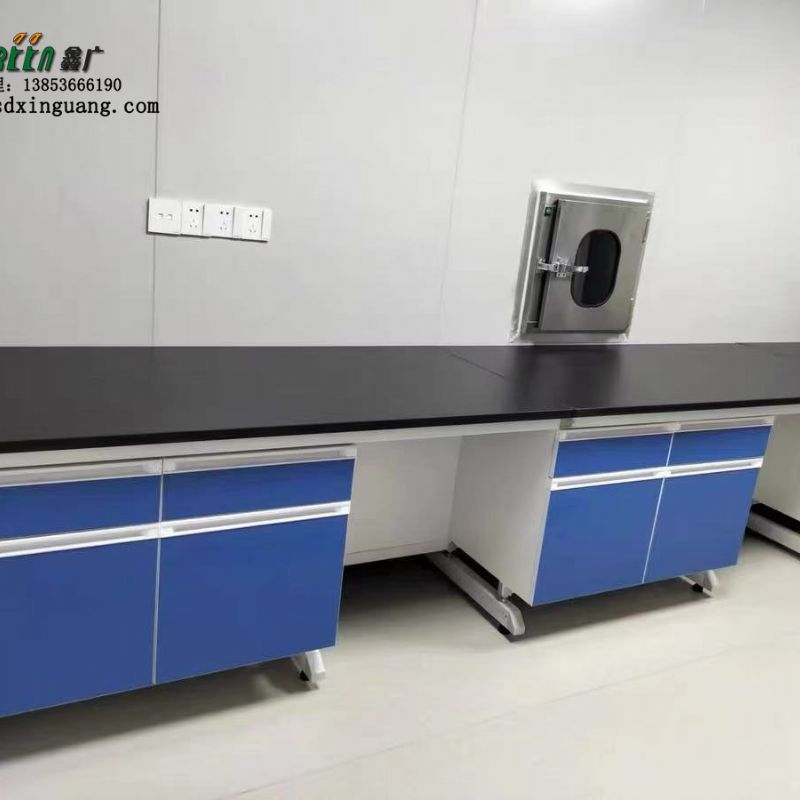 山东东营实验室家具钢木试验台通风柜定制