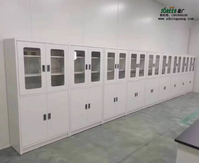 山东实验台厂家全钢试剂柜实验室器皿柜