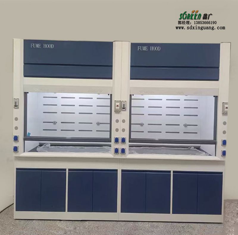 山东实验室家具全钢通风柜PP通风橱厂家供应