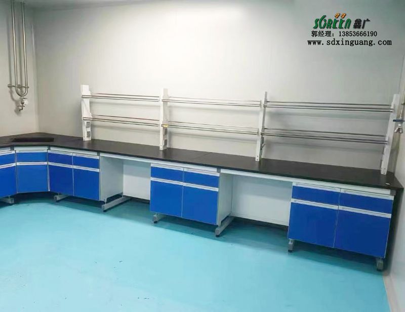 山东实验室工作台钢木边台实验台水槽台试剂架