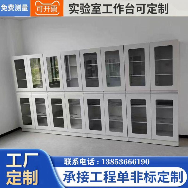 潍坊实验台厂家 实验室化学试剂柜 样品化验室仪器柜