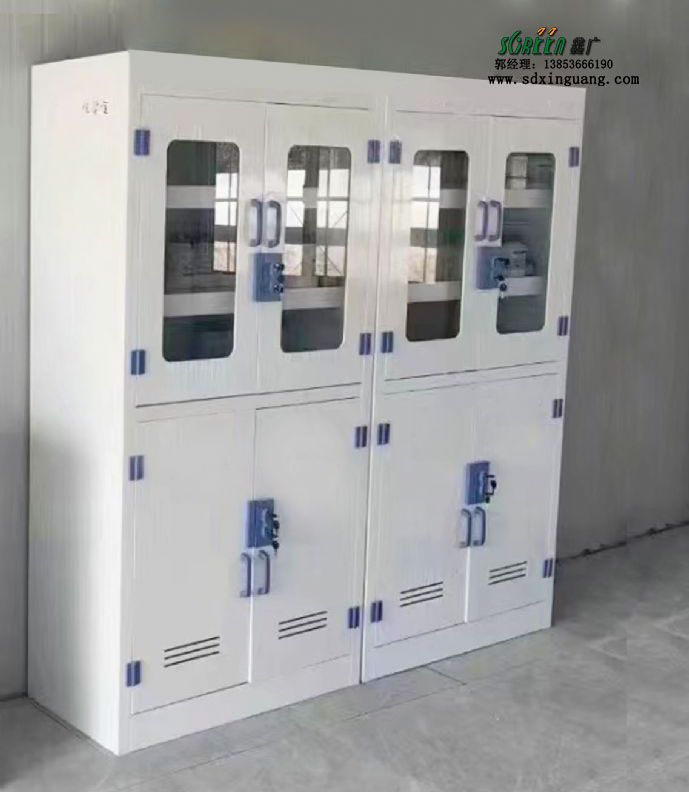 山东实验室试剂柜pp器皿柜化品储存柜供应