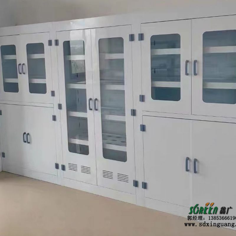 潍坊实验台,pp实验室试剂柜,实验室家具