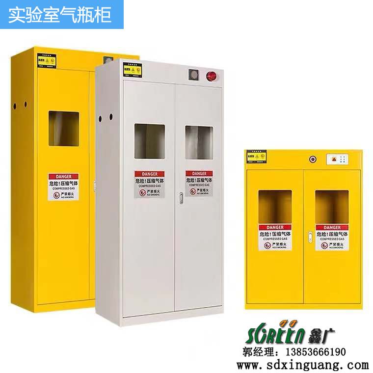 山东实验室设备,全钢实验室气瓶柜,实验台厂家