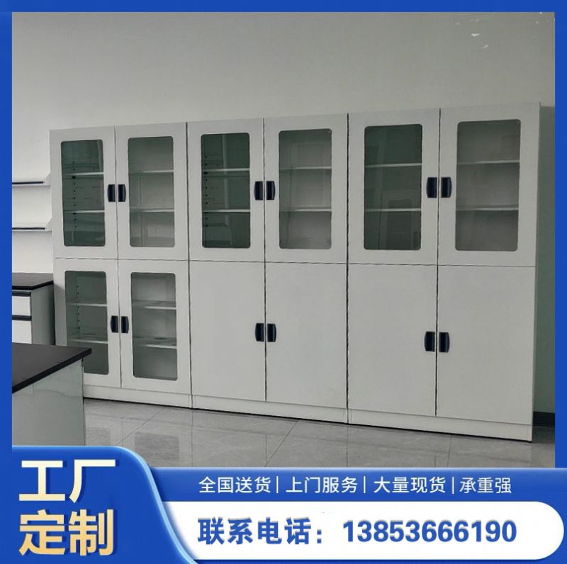 山东实验室设备实验室器皿柜 化验室试剂柜